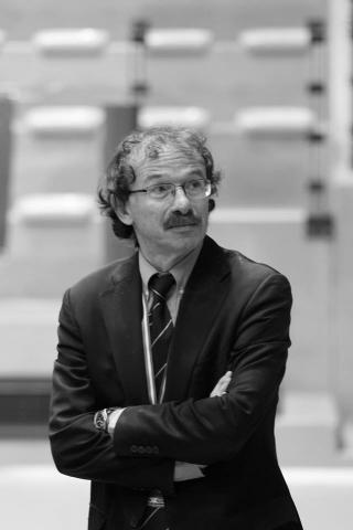 Stefano Stefanel