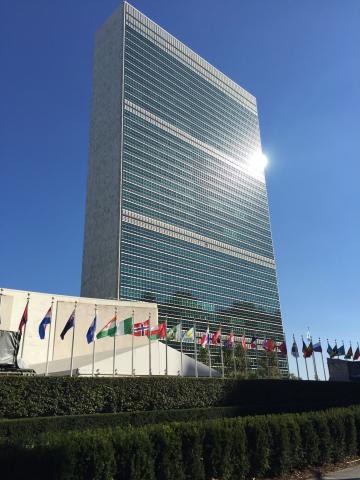Palazzo dell'ONU